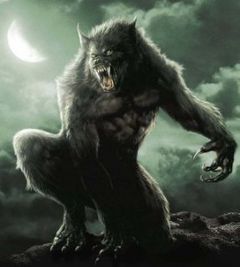 Immagine profilo di wolf-fire
